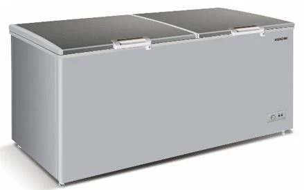 Bruhm 500L Double-Door Deep Freezer CF BCD-500M