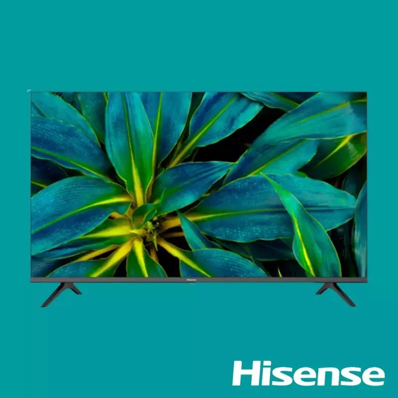 Hisense television on a teal background screen showing a close up of green blue leaves