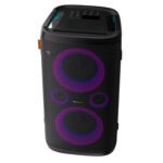 Hisense 300W Party Rocker Speaker HP110