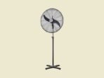 Standing pedestal fan with a large circular head on a black adjustable stand against a pale beige background