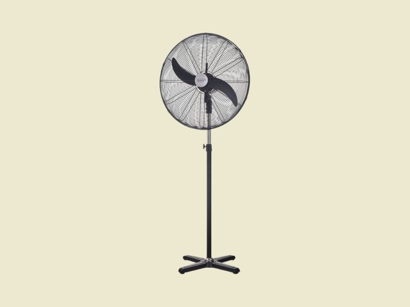 Standing pedestal fan with a large circular head on a black adjustable stand against a pale beige background