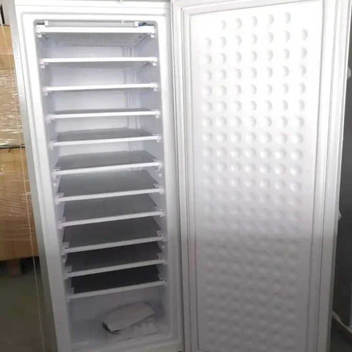 Bona 200L Solar ACDC Upright Freezer