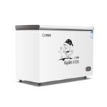 Snowsea 200L Chest Freezer BD208