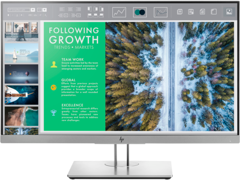 HP EliteDisplay E243 24 Inch Monitor
