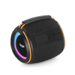 Royal 10W BT portable speaker RBTS801