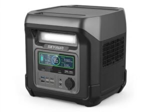 Skyrun 1000W Peak power Station SK PS2000W DJ